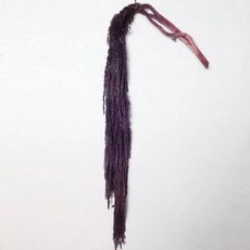 소니오 프리저브드플라워 부드러운 롱 버들 다발, 14 딥 퍼플