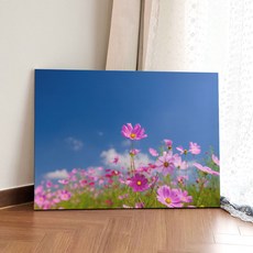 裝飾帆布畫框 秋日波斯菊花田 1 bc266