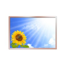 室內裝潢鋁框 + 金錢花F海報套組, 香檳色