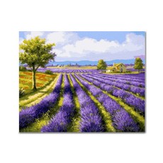 ADICO DIY 寶石十字繡 薰衣草農場 50 x 40 cm BH14, 混合顏色