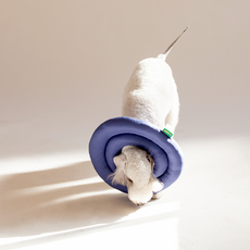 Pestep狗狗UFO防舔圈 海軍藍 M, 1個