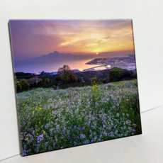 HTP 磁磚 C416 日本油菜花田與夕陽