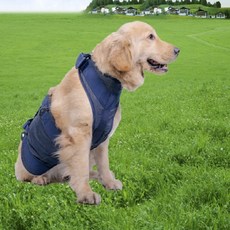 비제스코 강아지 외출용 특수 목 가슴 하네스 VIB-22, 블루, 1개