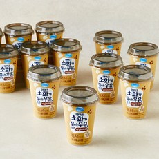 덴마크 소화가 잘되는 우유로 만든 락토프리 바닐라라떼, 12개, 250ml