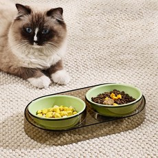 랜보어 반려동물 투명받침대 컬러 더블 식기 29.5 x 15.3 x 6.5 cm, 그린, 1개