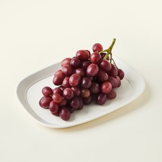 선뷰 미국산 씨없는 스파클 루비적포도, 490g, 1개