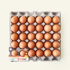 한스팜 무항생제 인증 1등급 신선대란 1.56kg, 1개, 30구