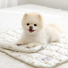 이츠독 디즈니 반려동물 인견 쿨링 매트, 밤비, 1개