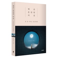 有時混亂的心：致無法入睡的你, 特洛伊木馬, 邊智英