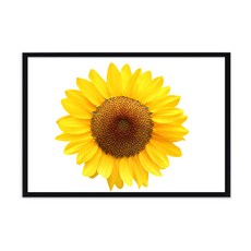 木框 + 金錢之花 I 海報組, 黑色