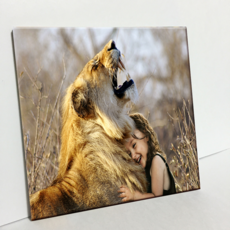 HTP 磁磚 獅子與少女 C2822