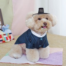 AMYLOVESPET 狗狗清潭韓服 男款, 牛仔藍