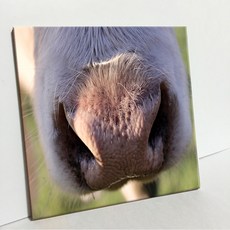 UDP 瓷磚相框 A型 3777407