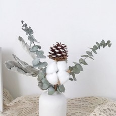 GAPANG 乾燥花 DRYD001 12號, 混合色