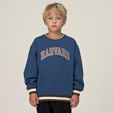 HARVARD KIDS 青少年兒童經典系列刷毛大學T HJCCMTE44251