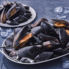 산지직송 부산 13번 중매인 피홍합 (냉장), 3kg, 1개