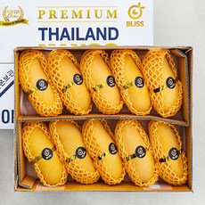 이웃마을 태국산 마하차녹 망고, 3.8kg(8~10입), 1개