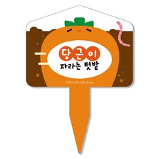 멜로우스토리 주말농장 텃밭 팻말, 4 자라