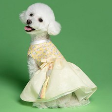 메종드독 한복 핸드메이드 골든벨 강아지옷, 옐로우, 1개