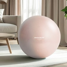 스케쳐스 고중량 안티버스트 짐볼 1.2kg, 소프트 피치