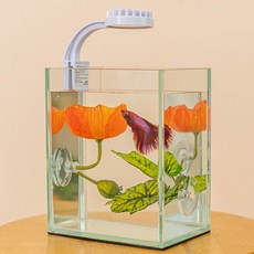 Spinel Light 鬥魚屋套組, 單一顏色, 1個