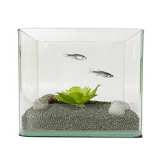 Rora Pet 迷你黑土魚缸套組 1mm, 隨機發貨