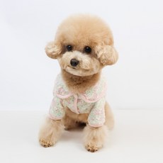 그루밍독 강아지 고양이 폭신 소프트 플라워 자켓, 핑크, 1개