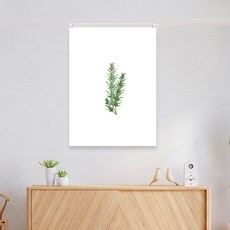 끌래망스 허브 실사 롤스크린 일반