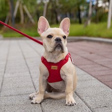 강아지 X형 스웨이드 소형견 중형견 가슴줄 하네스 + 리드줄 세트, 레드, 1세트