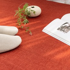 STYLE RUG 柔軟仿劍麻可水洗地毯