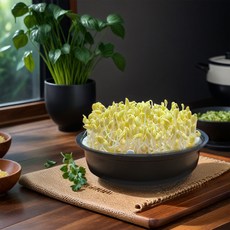 saenghwalbaekgwa 豆芽栽培機, 1個