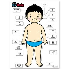 청양토이 DIY 펠트 나의 몸, 혼합색상