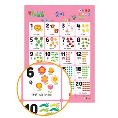 똑똑 스마트 브로마이드 숫자, 한국가우스