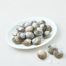 바다림 중국산 생물 모시조개, 1개, 500g