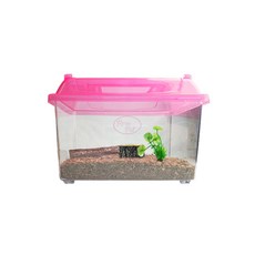 로라펫 곤충 키우기 세트 클린 채집통 M, 랜덤발송, 1세트