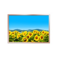 鋁製相框 + 海報 搖錢樹 J 套組, 香檳色, 1個