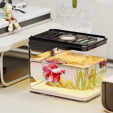 Mimineaqua 一體成型鬥魚MINI飼養隔離盒, 黑色, 1個