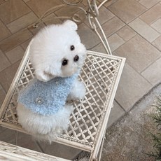 바비스영 루미에르 베스트, 블루, 1개