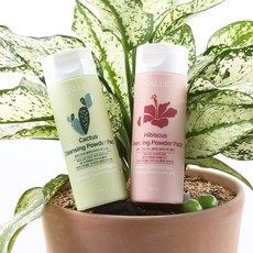 iWanna 仙人掌保濕洗顏粉 100g+木芙蓉洗顏粉 100g, 1套