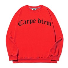 Timsfit 男式 Carpe Diem 大徽標重量級運動衫