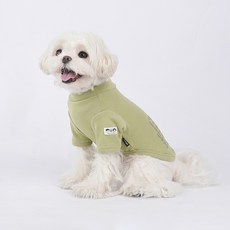 파스텔펫 반려동물 프레젠트 터틀넥 티셔츠, 그린, 1개