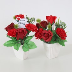 해피월드 비누꽃 고급 카네이션 꽃화분, 레드, 2개