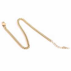 DING DONG PET 寵物醫療鋼識別牌項鍊 鏈條型4, 金色