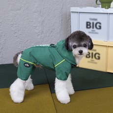 COOPETS 狗狗彩虹全方位連身衣, 綠色, 1個