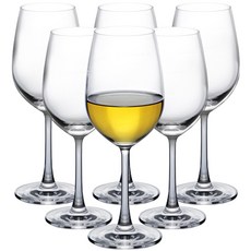 Ocean PROFESSIONAL MADISON白酒杯 6入, 1組, 350ml