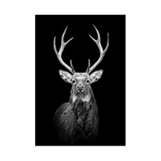 DM Corporation 黑白動物帆布海報 馴鹿