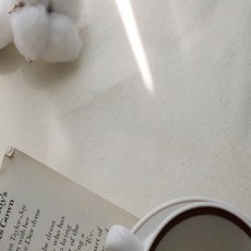 寬幅 10支紗 先染棉 Essential 牛津布料, 1個, 象牙白