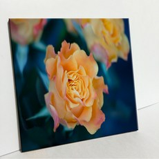 UDP 磁磚畫框 A型 3909030, 單一顏色