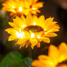 Lena Energy LED太陽能植物花園燈, 向日葵