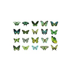 온업 DIY 다이어리 꾸미기 나비 스티커 세트 ST04, 타입 5, 1세트